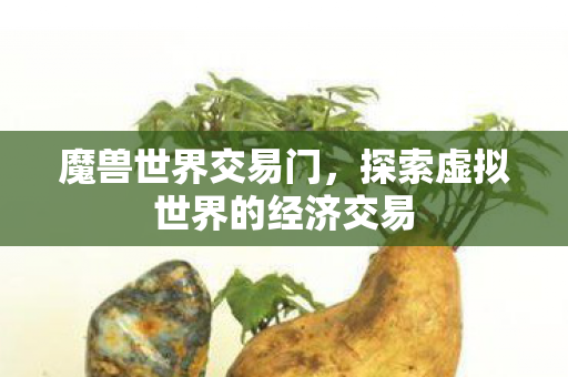 探索虚拟世界的经济交易图片