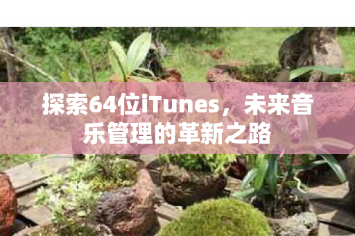 探索64位iTunes图片