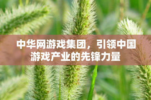 引领中国游戏产业的先锋力量图片