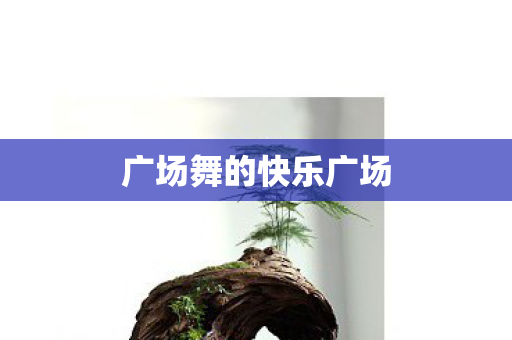 广场舞的快乐广场图片