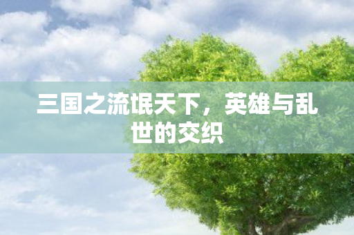 英雄与乱世的交织图片