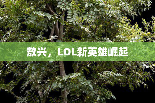 LOL新英雄崛起图片