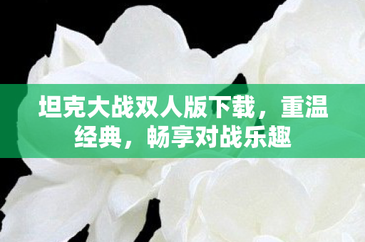 坦克大战双人版下载图片