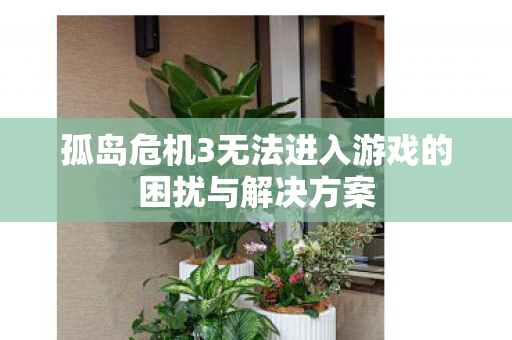 孤岛危机3无法进入游戏的困扰与解决方案图片