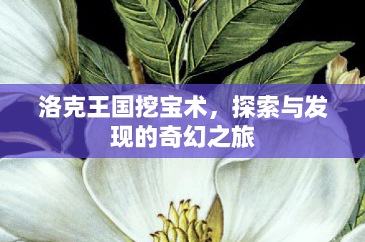 探索与发现的奇幻之旅图片