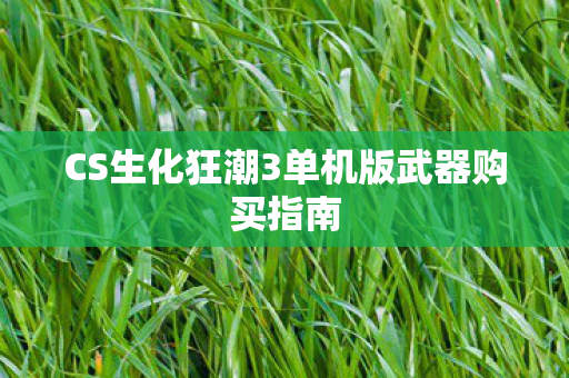 CS生化狂潮3单机版武器购买指南图片