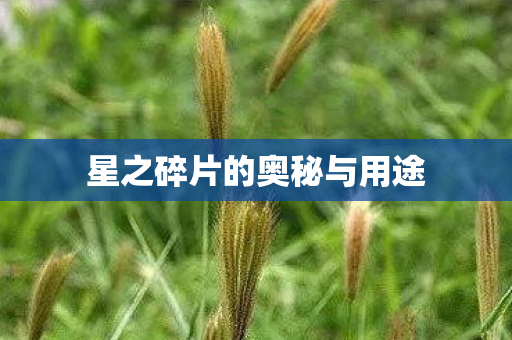 星之碎片的奥秘与用途图片
