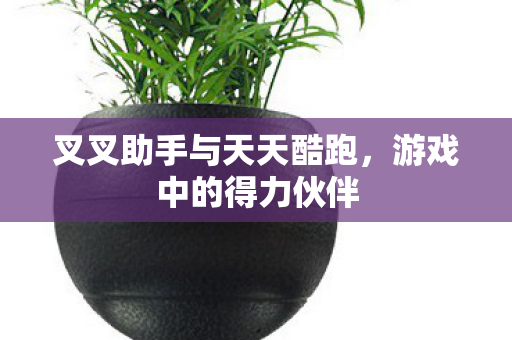 叉叉助手与天天酷跑图片