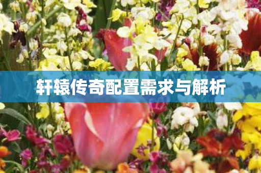 轩辕传奇配置需求与解析图片