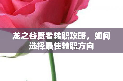 如何选择最佳转职方向图片