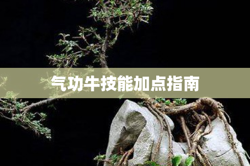 气功牛技能加点指南图片