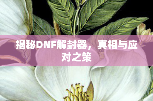 揭秘DNF解封器图片