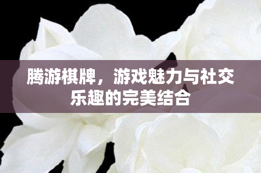 游戏魅力与社交乐趣的完美结合图片