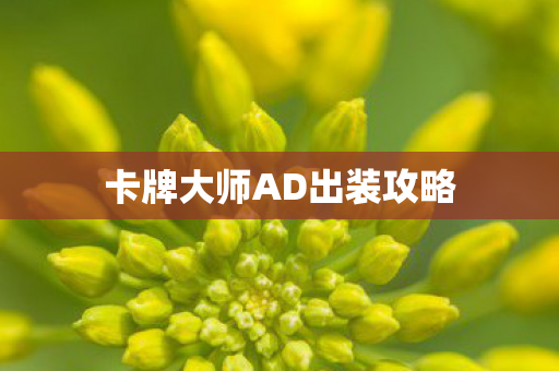 卡牌大师AD出装攻略图片