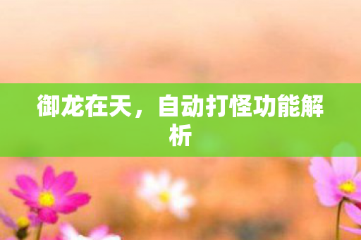 自动打怪功能解析图片