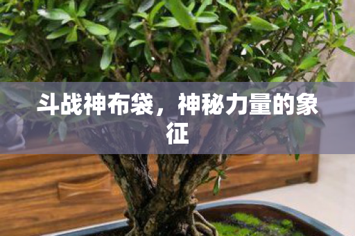 神秘力量的象征图片