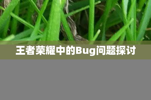 王者荣耀中的Bug问题探讨图片