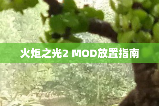 火炬之光2 MOD放置指南图片
