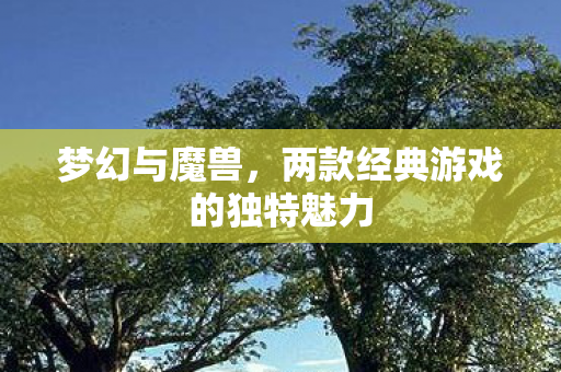 两款经典游戏的独特魅力图片