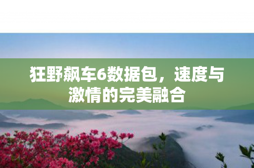 速度与激情的完美融合图片