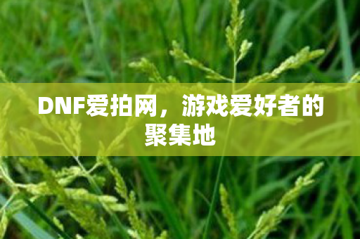游戏爱好者的聚集地图片