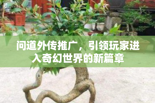 引领玩家进入奇幻世界的新篇章图片