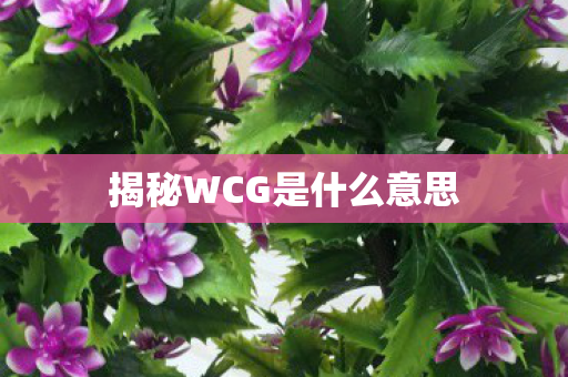 揭秘WCG是什么意思图片