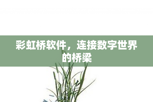 连接数字世界的桥梁图片