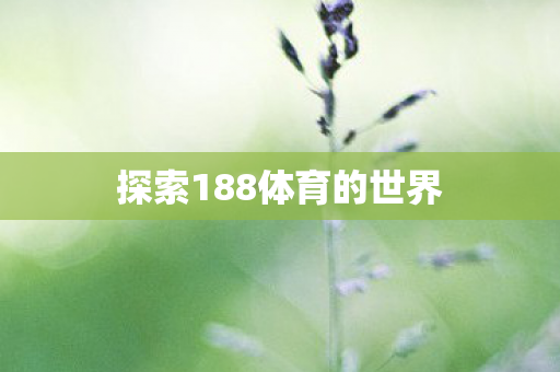探索188体育的世界图片