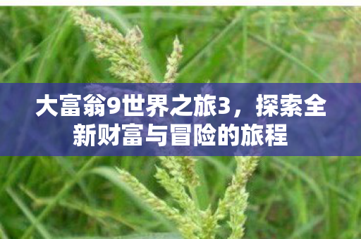 探索全新财富与冒险的旅程图片