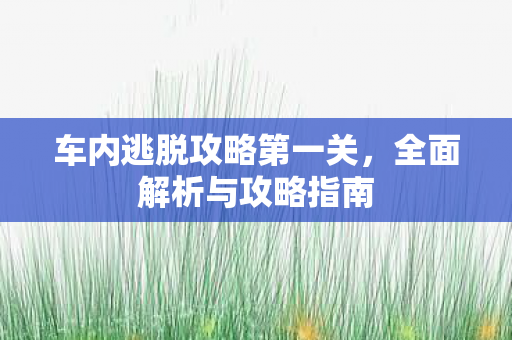 车内逃脱攻略第一关图片