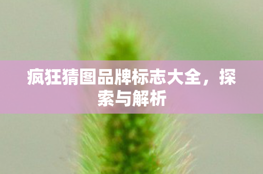 疯狂猜图品牌标志大全图片