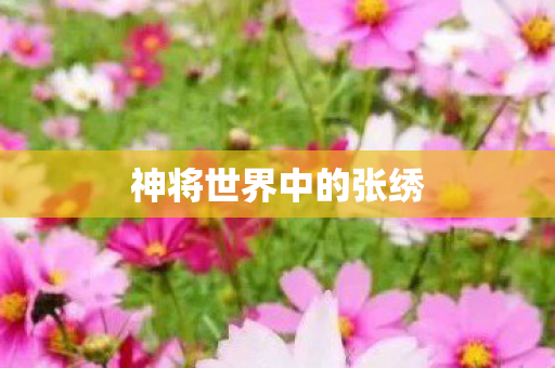 神将世界中的张绣图片