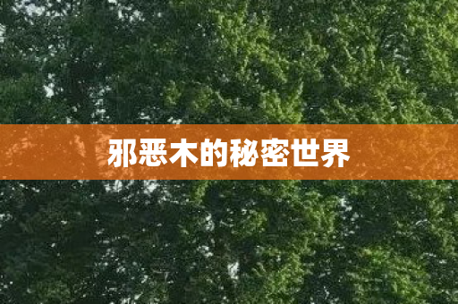 邪恶木的秘密世界图片