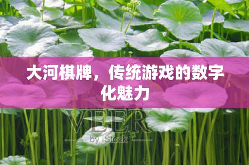 传统游戏的数字化魅力图片