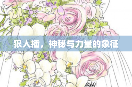 神秘与力量的象征图片