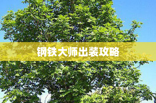 钢铁大师出装攻略图片