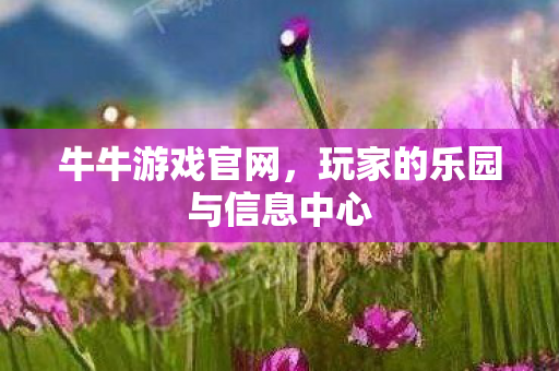 玩家的乐园与信息中心图片