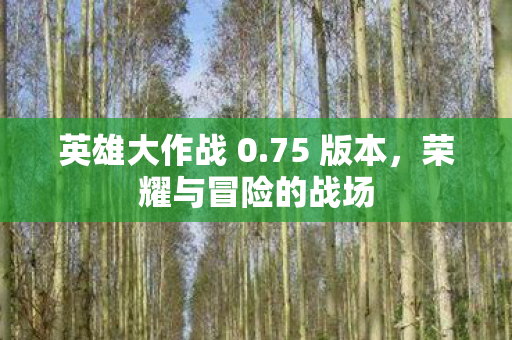 荣耀与冒险的战场图片