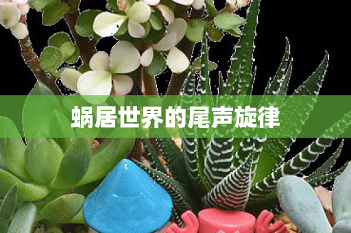 蜗居世界的尾声旋律 蜗居世界的尾声旋律