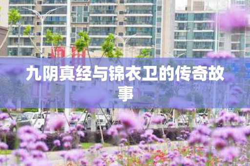 九阴真经与锦衣卫的传奇故事