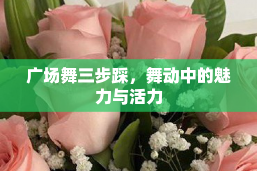 广场舞三步踩,舞动中的魅力与活力 广场舞三步踩,舞动中的魅力与活力