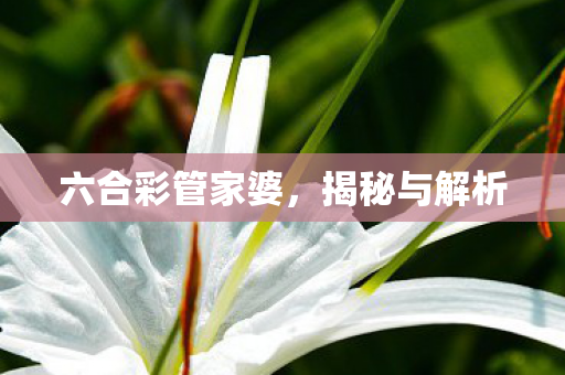六合彩管家婆图片