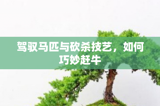 驾驭马匹与砍杀技艺图片