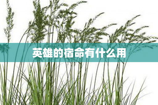 英雄的宿命有什么用图片