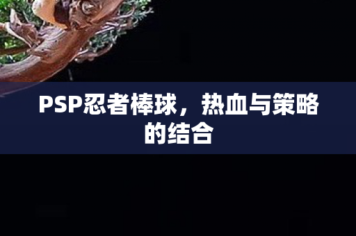 热血与策略的结合图片