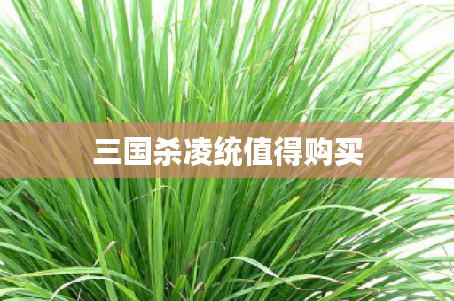三国杀凌统值得购买图片