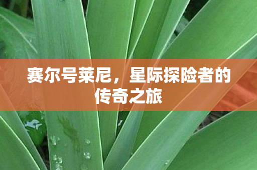 星际探险者的传奇之旅图片