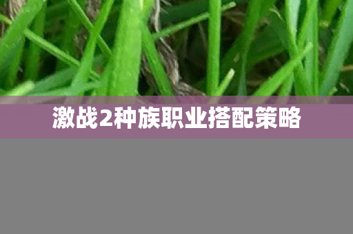 激战2种族职业搭配策略图片