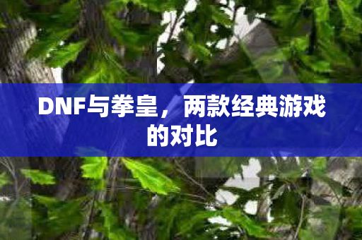 两款经典游戏的对比图片